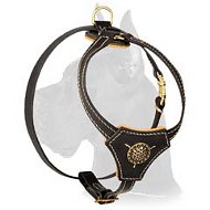 Royal Padded Leather Harness for Great Dane puppy