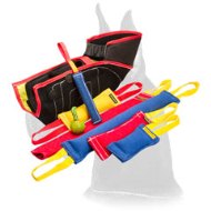 Professional Training Great Dane Set of French Linen