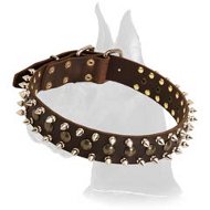 Leather Spiked and Studded Collar for Great Dane