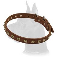 Studded Leather Collar for Great Dane