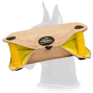 Jute Bite Developer for Safe Puppy Training for Great Dane