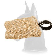 Train your Puppy Everywhere with Pocket-Size Great Dane Bite Tug