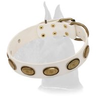 Exclusive Leather White Collar for Great Dane Breed  Exclusive Leather White Collar for Great Dane Breed