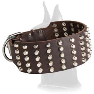 3 inch Studded Leather Dog Collar for Great Dane