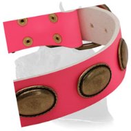 Pink Leather Great Dane Collar with Vintage Oval Plates for Female Dogs  Pink Leather Great Dane Collar with Vintage Oval Plates for Female Dogs