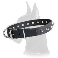 Spiked Leather Dog Collar for Great Dane walking