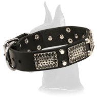 Handsome War Leather Collar With Nickel Plates and Pyramids for Great Dane