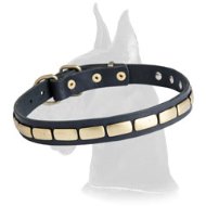 Trendy Leather Collar with Brass Plates for Great Dane