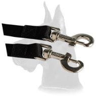 Nylon 2-Way Couplers Leash for 2 Great Dane