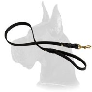 Handcrafted Leather Dog Leash for Walking and Tracking