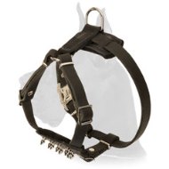 Leather Puppy Harness with Spiked Delicate Chest for Great Dane