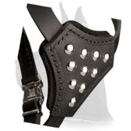 Great Dane Harness with Adjustable Straps for Puppy Walking and Training