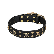 'Jolly Rojer' FDT Artisan Great Dane Leather Dog Collar with Pirate Skulls and Studs - 1 1/2 inch (40 mm) wide