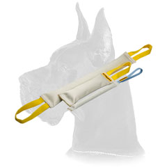 Great Dane Fire Hose Bite Tugs Training Set