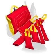 Great Dane Puppy Training Set for Efficient Training