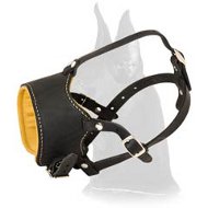 Everyday Padded Leather Muzzle for Great Dane