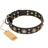 'Baroque Chic' FDT Artisan Studded Black Leather Great Dane Dog Collar
