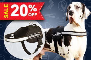 Nylon Dog Harness