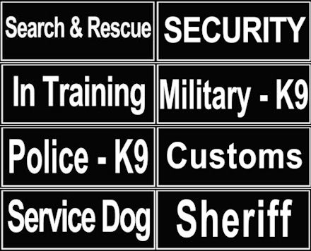 SAR Harness for Great Dane-Search&Rescue NYLON DOG HARNESS