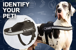 Nylon Great Dane Harness