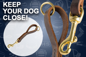 Leather Leash for Great Dane