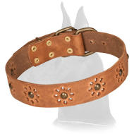 "Spring Mood" Decorated Leather Collar with Brass Studs