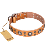 'Extra Sparkle' FDT Artisan Handcrafted Tan Great Dane Leather Dog Collar