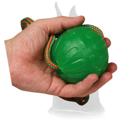Interactive Special rubber Toy for Chewing