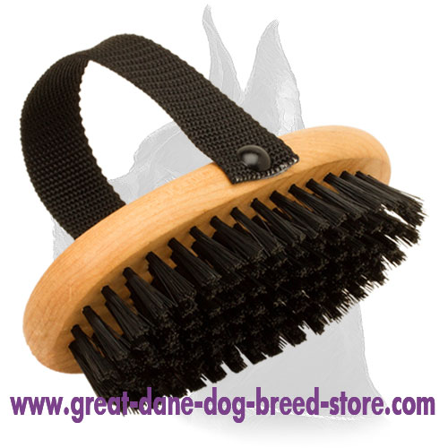 Effective Dog Grooming with Bristle Brush