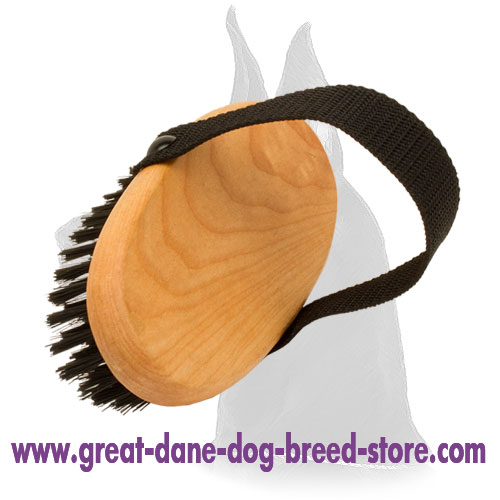 Comfy Great Dane Brush for Everyday Grooming Brush Go Great Dane Breed Dog Harness Great Dane Dog Muzzle Great Dane Dog Collar Dog Leash 2024 BUY NOW