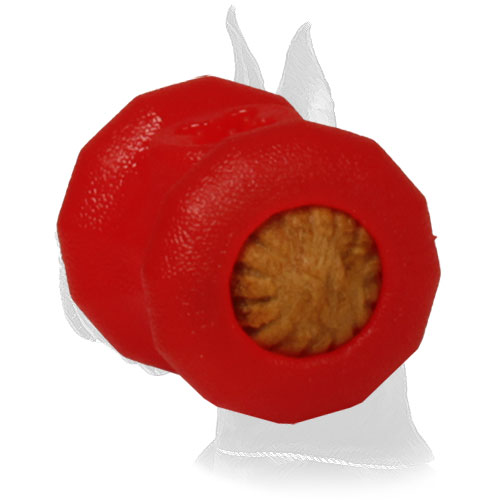 Special Rubber Chew Treat Holder