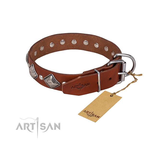 Dependable leather dog collar with strong fittings