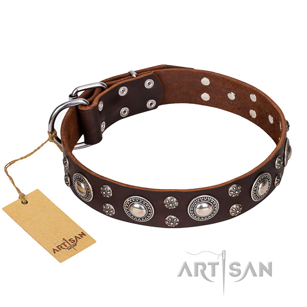 Heavy-duty leather dog collar with non-rusting hardware