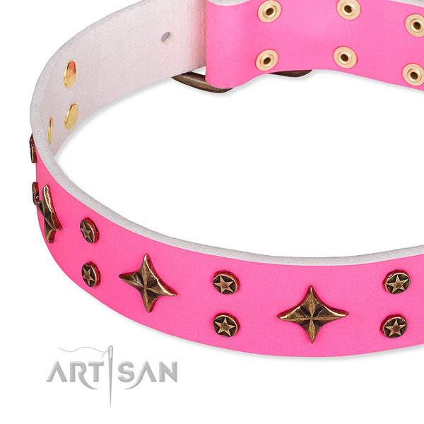Full grain natural leather dog collar with unique studs