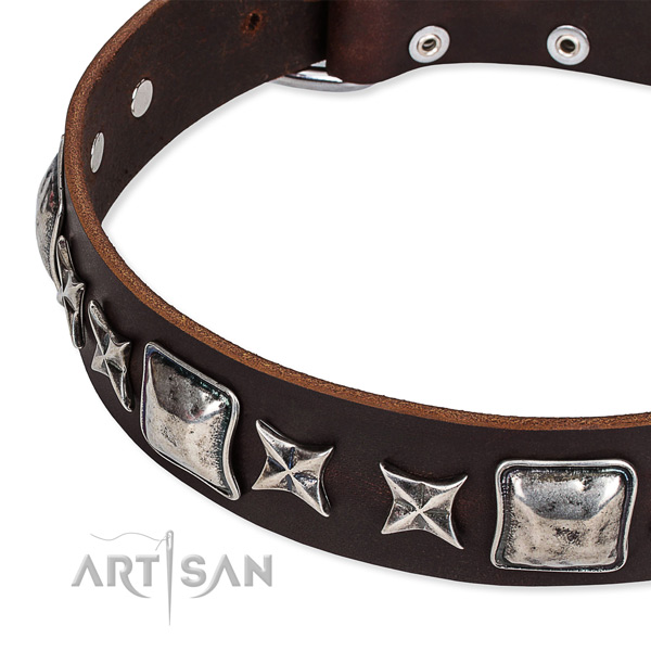 Full grain genuine leather dog collar with studs for daily use