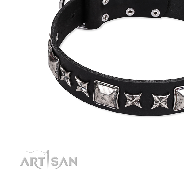 Full grain natural leather dog collar with stunning decorations