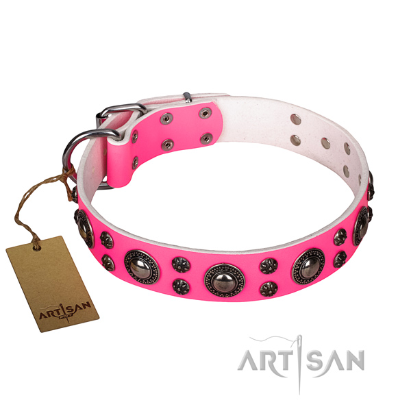 Stunning full grain genuine leather dog collar for everyday use