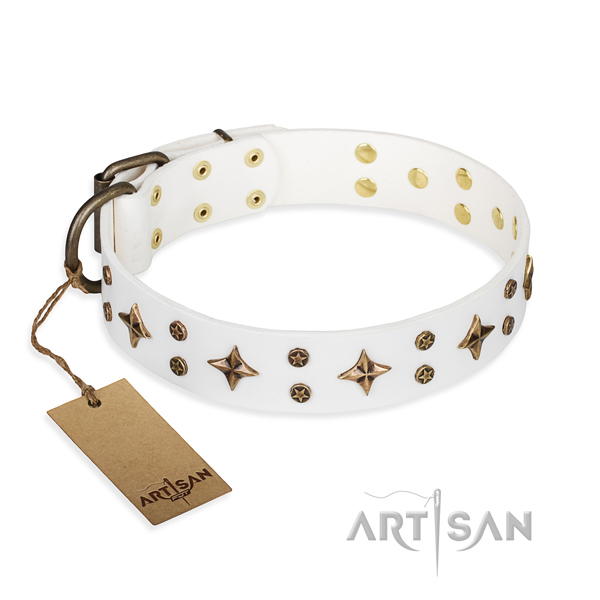 Trendy full grain leather dog collar for daily walking