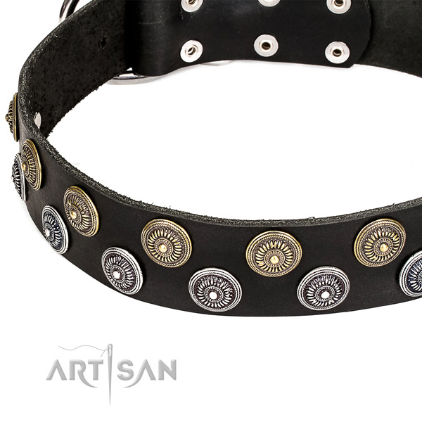 Natural genuine leather dog collar with exquisite studs