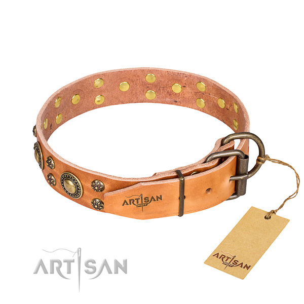 Stylish walking genuine leather collar with adornments for your doggie