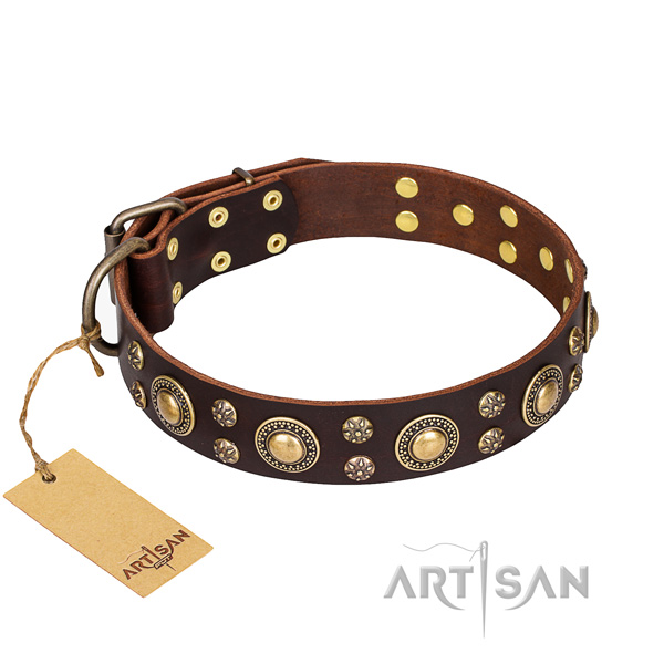 Fashionable leather dog collar for daily use