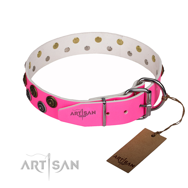 Daily walking full grain natural leather collar with adornments for your doggie