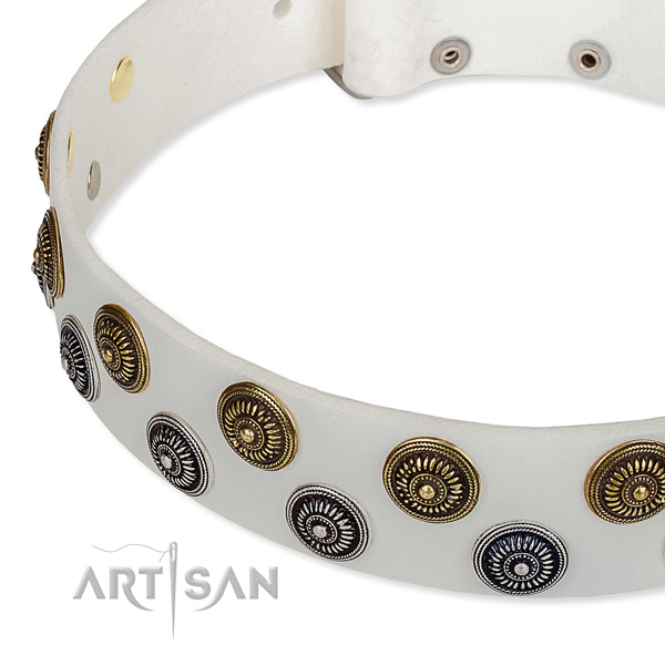Genuine leather dog collar with exceptional embellishments