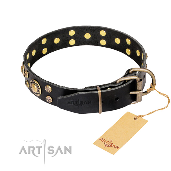 Walking leather collar with decorations for your doggie