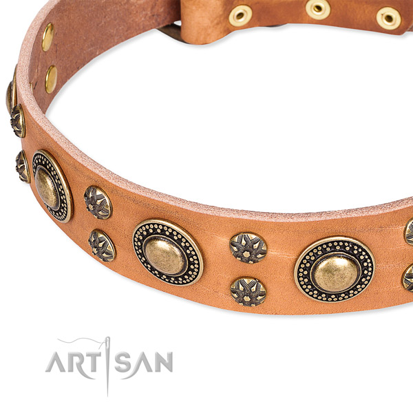 Leather dog collar with unique decorations