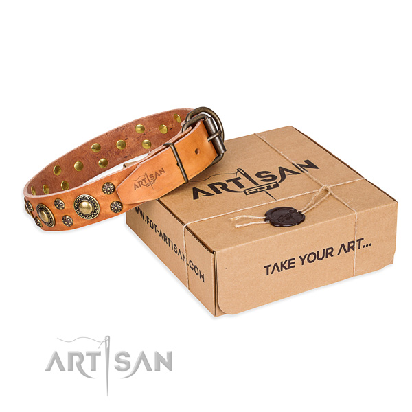 Full grain leather dog collar with studs for everyday use
