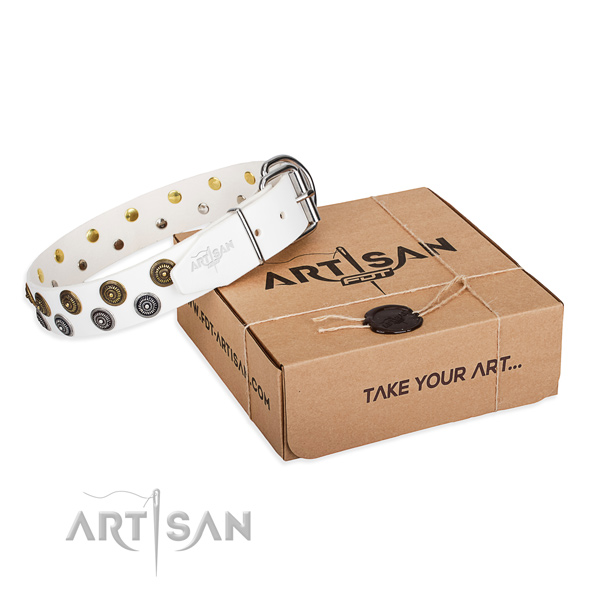 Natural genuine leather dog collar with embellishments for everyday use