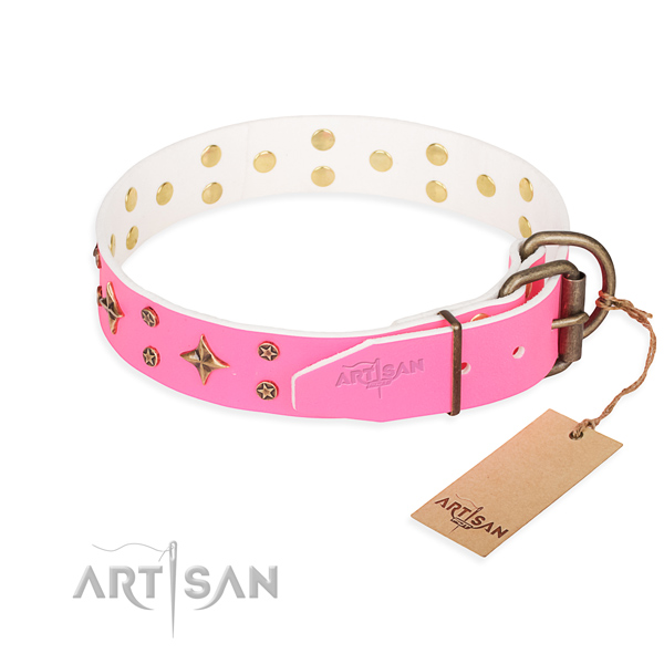 Everyday walking natural genuine leather collar with embellishments for your canine