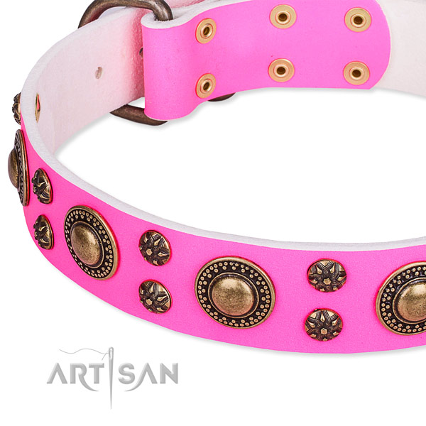 Natural genuine leather dog collar with unusual adornments