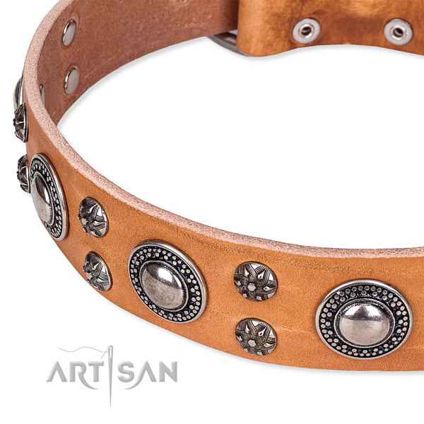 Stylish walking full grain natural leather collar with rust resistant buckle and D-ring